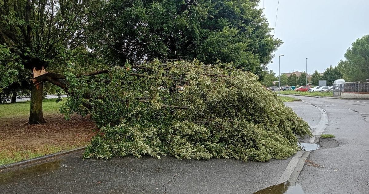 Castelfranco di Sotto: Parchi e giardini chiusi per allerta meteo