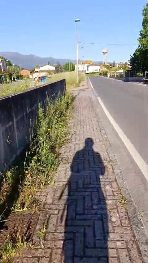 Richiesta manutenzione verde e chiarimenti su ritardi TARI