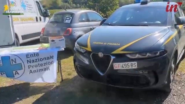 Sequestrato allevamento illegale: salvati 100 barboncini a Castelfranco