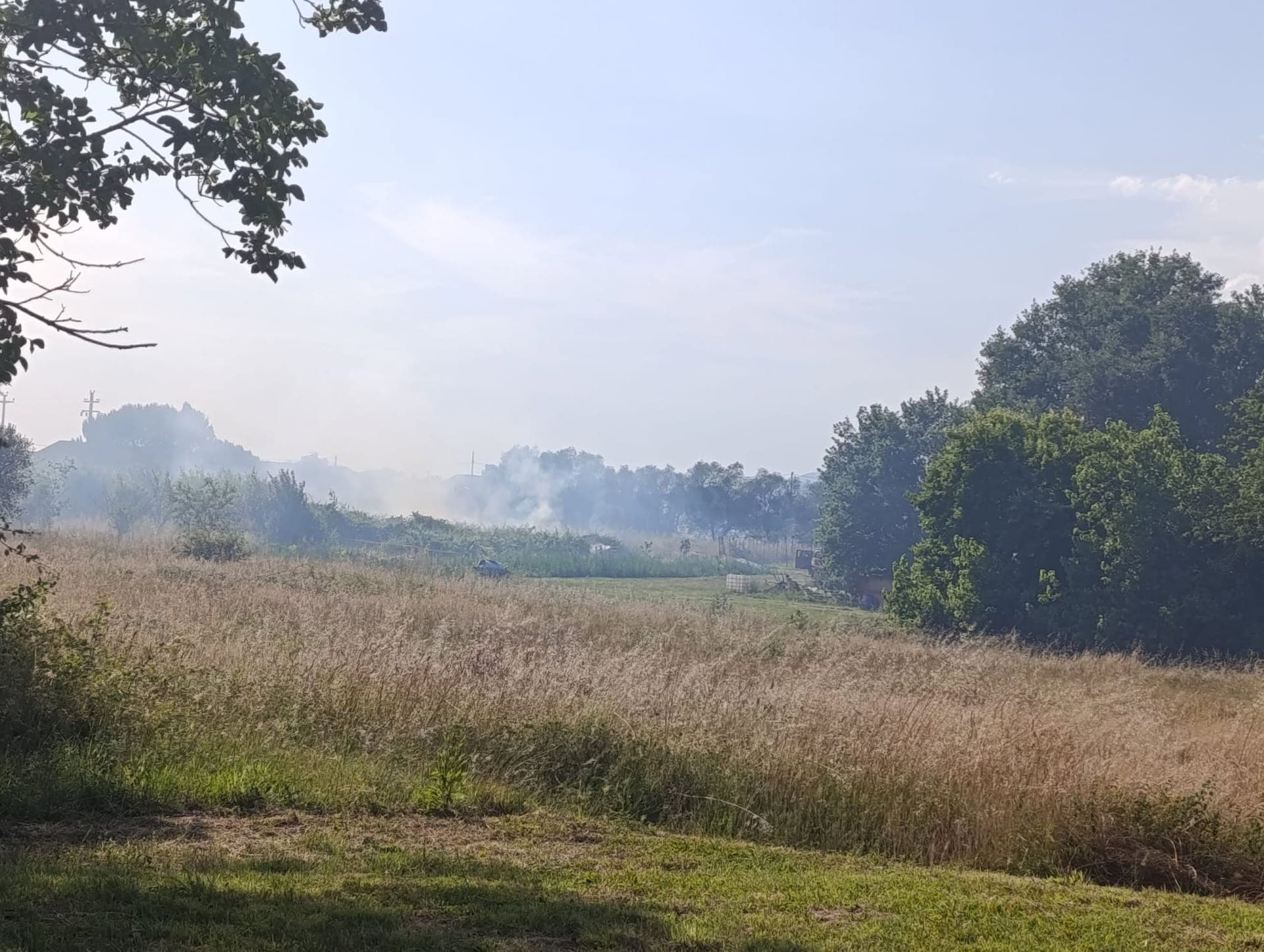 Vasto incendio nella selva: vigili del fuoco in azione