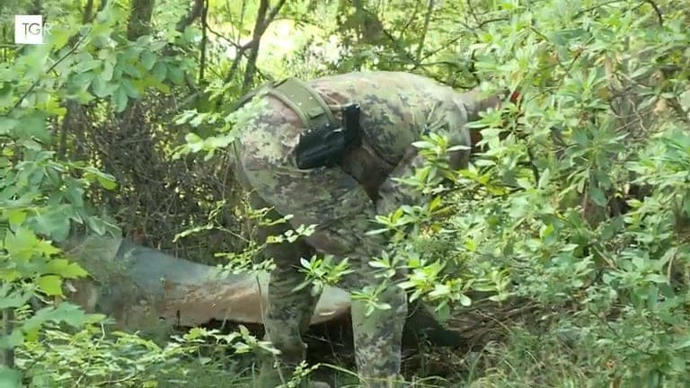 Droga Cerbaie: Accampamento di fortuna e viveri scoperti dai Carabinieri