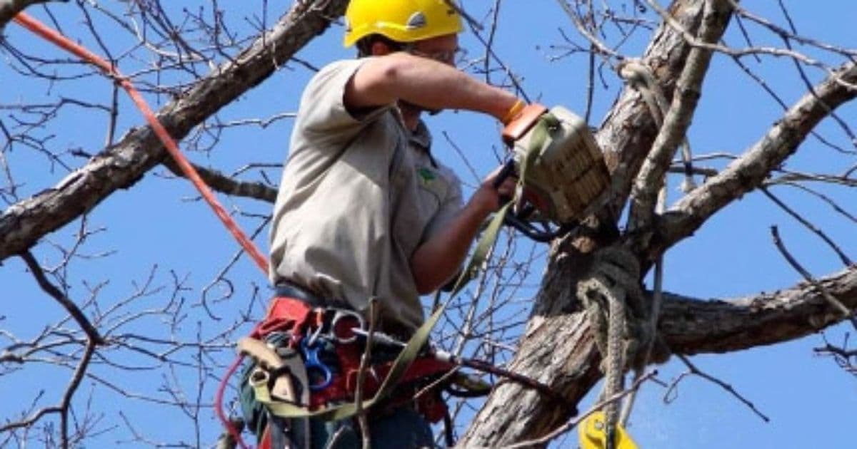 Chiusura al transito di via Ponticelli nella mattinata di giovedì prossimo, 19 febbraio