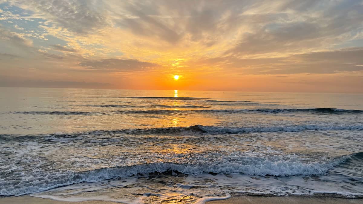 The coast